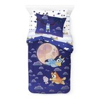 Bluey Twin Bed Set 5 Piece Comforter Sham Sheets Pillowcase Reversible Comforter