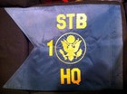 82nd Airborne Division Special Troops Battalion Flag Guidon Patch Insignia Dui