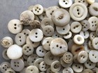 300 Mother Of Pearl Shell Buttons Old Grunge Vintage Antique Worn Round Mix Lot