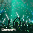 10 Pcs Jumbo Glow Sticks Available In 14 Or 16 Inch Survival Kit  white 14 Inch 