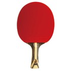  dhs Sports Usa  H9002 9 Star Table Tennis Racket Shakehand Professional Paddle