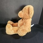 Fao Schwarz Teddy Bear Golden Brown 15  Cute Stuffed Animal Plush Toy  Euc 