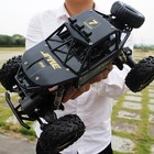 Remote Control Car Off-road Speed For Kids Boys Truck 1 16 4wd Rc Toy Girls Gift