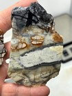 Picasso Marble  jasper  Slabs Cabbing Lapidary Utah Combo Ship Avail