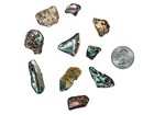 Highly Polished Paua Shell Pieces  15-45mm 1 4-lb Bag  565-tphpsm-4  9ul2