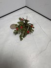Dollhouse Miniature - Fairy Garden Large Hanging Basket With Red Flowers
