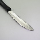 Cutco Steak Knife No  1759 Classic Brown Swirl Handle 3 1 2  Blade 
