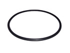 Hypro 1720-0008 Endplate O-ring For 6100  6300  6400   6500 Roller Pumps