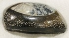 Authentic Stone Dinosaur Fossil Whole Ammonite Goniatite Artifact Collection