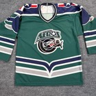 Vintage Houston Aeros Jersey Mens Large Green Hockey Minor League Embroidered