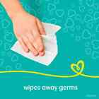 Pampers Scented  Baby Fresh Baby Wipes  13 Packs  1040 Ct   Great Price