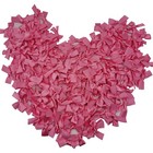 100pcs Mini Satin Ribbon Bows Flowers 1 5 X 1 4 Appliques Diy Craft Scrapbook   