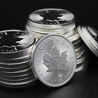 Maple Leaf 2025 Silver Coin 1oz  Canada 5 Dollars Maple Leaf