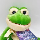 Russ Name Your Own Star Shining Stars Green Frog Plush Stuffed New Tag 2006 Code