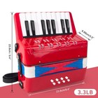 Accordion  17 Keys Piano Accordion For Kids 8 Bass With Straps For Beginners    