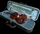 Solid Bird s Eye Canadian Maple Advanced Full-size Professional Violin fiddle