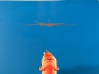 Marvel Comics Sentry 11 X 17 Art Print Signed By Jae Lee