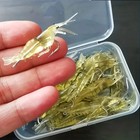 5-50pcs Soft Shrimp Fishing Lures With Luminous Bait Hooks For Fresh   Saltwater