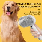 3in1 Pet Steam Brush Dog Hair Brush Cat Hair Brush Electric Steam Spray Upgrade