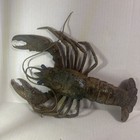 Vtg Molded Lobster Figure Nautical Coastal Seafood Restaurant Beach Decor