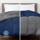 Bare Home Goose Down Alternative Comforter - Reversible Colors - Ultra Soft