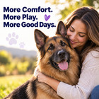 Dog Hip   Joint Supplement Soft Chews Glucosamine Msm Chondroitin 60 Count