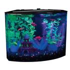 5 Gallon Crescent Aquarium Kit Blue Led Lighting Internal Filter Feeding Hole Us