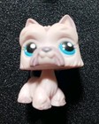 Lot Littlest Pet Shop Lps Authentic Dogs Puppies Boxer Jack Russell Scottie  