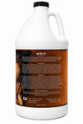 Wen Cleansing Conditioner 128 Oz  3 7 L Fall Pumpkin Pecan Latte New Sealed