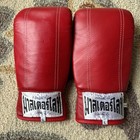     muay Thai Boxing  Gloves Sparring Mitts Punching Bag Kickboxing Mma Training