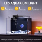5 Gallon Fish Tank Kit W  Filter Light W  Timer Lid Rimless Glass Black