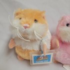 2 New With Codes Webkinz Mazin  Hamsters From Ganz Pink   Tan 4  Plush Toys 