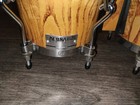 Gon Bops Bongos Special Edition Alex Acuna Series With New Remo Skyndeep Heads