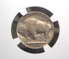 1913  d  Indian Head Buffalo Nickel  type 2  5c Ngc Ms61  005 Uncirculated Ecc c