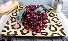Ebros Giant Cat Cheetah Prints Large Square Dinner Plate Set Of 2 10 75  Plates
