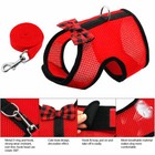 Xxxs Xxs Xs Teacup Puppy Dog Chihuahua Harness Lead Mesh Vest For Tiny Kitty Cat