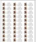 150 Cute Yorkie Puppy Mailing Return Address Labels Personalized  1 X 2 5 8 In 