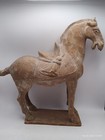 Clay Terra Cotta Tang Dynasty Style Horse 15 