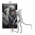 Neca White Alien Covenant Neomorph 7  Action Figure Collection Toys 