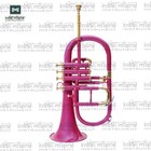 Bb 4 Valve Flugel Horn Brass Instrument   With A Hard Carry Case 
