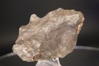 Gebel Kamil Iron Meteorite 326 6  Grams 3 25 Inches  Nice Piece 