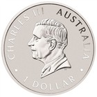 2026 P Australia Silver Kookaburra 1 Oz  1 - Bu