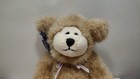 Vintage Applause Plush Teddy Bear W  Tags
