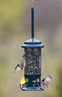 New  Brome Squirrel Buster Standard Bird Feeder 9073 Squirrel Proof Free Ships