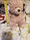 Vintage   Gund Stitchie 319929 Bear Plush Stuffed Animal         V1