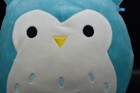 Squishmallows Large 12  Winston The Owl Teal Plush By Kellytoy Guc 