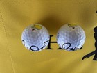2025 Masters Rory Mcilroy Signed Autographed Titleist Masters Logo Golf Ball