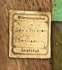Microscope - Antique - Brass - German swiss - Field Microscope