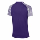 Nike Dri-fit Academy Soccer Jersey Mens Football Purple Size-large