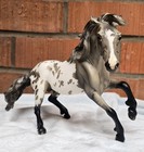 Breyer Traditional     shelby     Matte Grey Appaloosa Nokota  2023 Gamblers Choice 